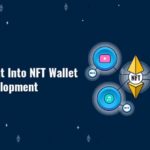 NFT wallet app development/