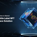 white label nft marketplace development