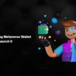 Metaverse wallet development