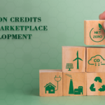 Carbon Credit NFTs