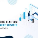 Invest in DeFi Lending Platform Development Services for Maximum Profits