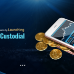 Crypto Custodial Wallet