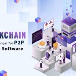 Blockchain: A Game Changer for P2P Lending Software