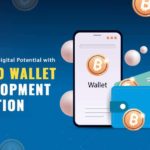 BRC20 Wallet Development