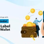 Boost Your Earnings with Non-Custodial White Label Crypto Wallet