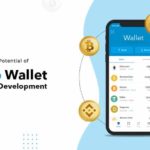 Crypto wallet Clone script