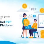 Empower financial growth with professional white label P2P lending platform development