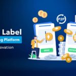 White Label P2P Lending Platform-Fintech Innovation