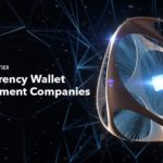 Multichain crypto wallet development