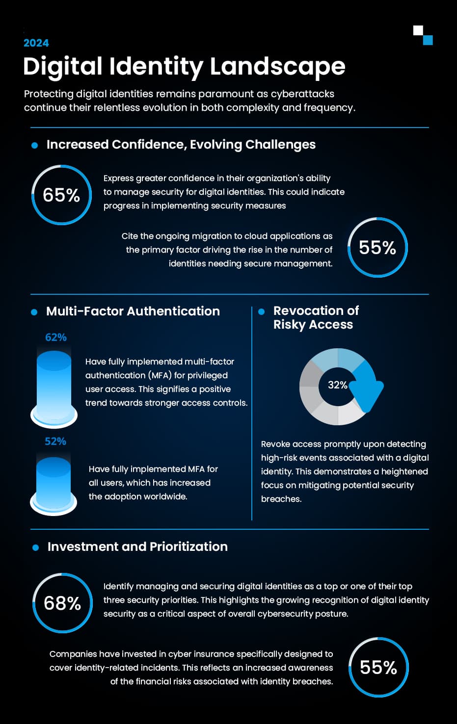 Digital Identity in blockchain Landscape 2024 Infographic 