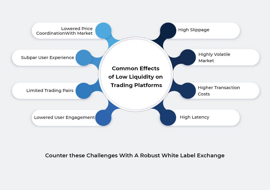 Liquidity Dilemma - How White Label Exchanges Can Overcome - infographic002