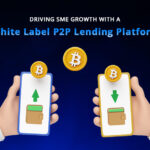 P2P Lending Platform - BANNER