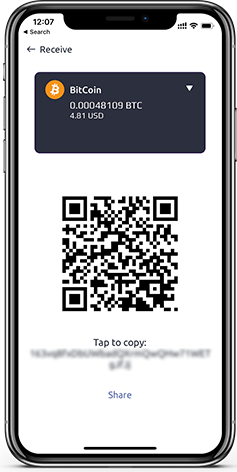 crypto wallet japan