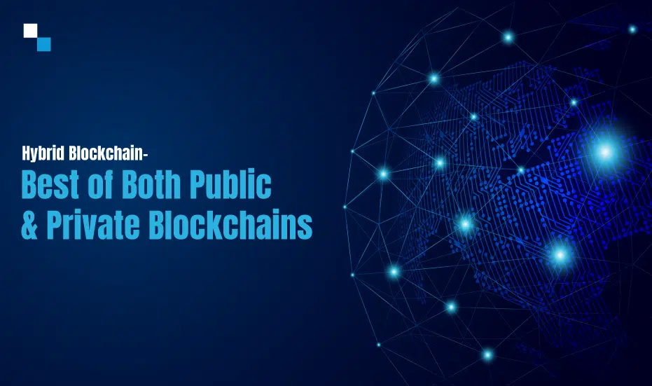 Public vs Private Blockchain,Hybrid Blockchain,Blockchain deployment,Hybrid Blockchain Development,Hybrid Blockchain Development Services
