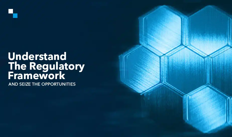 Understand The Regulatory Framework and Seize the Opportunities