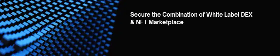 White Label DEX with NFT Marketplaces - CTA