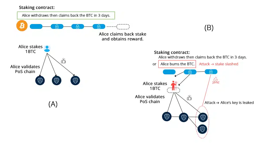 The User Journey Alice's Experience on Babylon Protocol